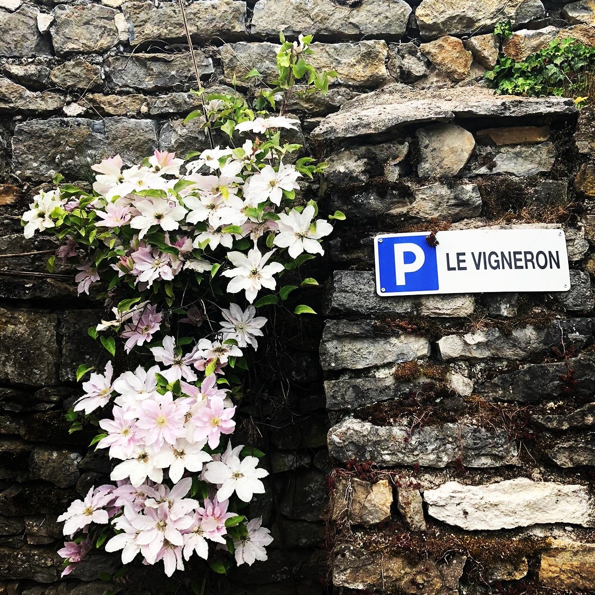 Mur en pierres sèches avec fleurs et panneau "Le Vigneron"