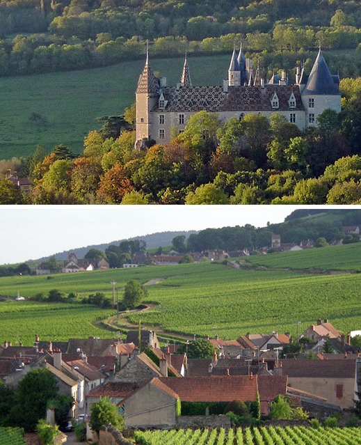 Paysages Bourguignon, vignes et chateau